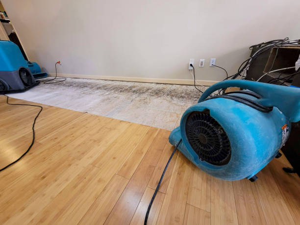 Professional Flood Damage Cleanup technician working in Shaw Afb, SC